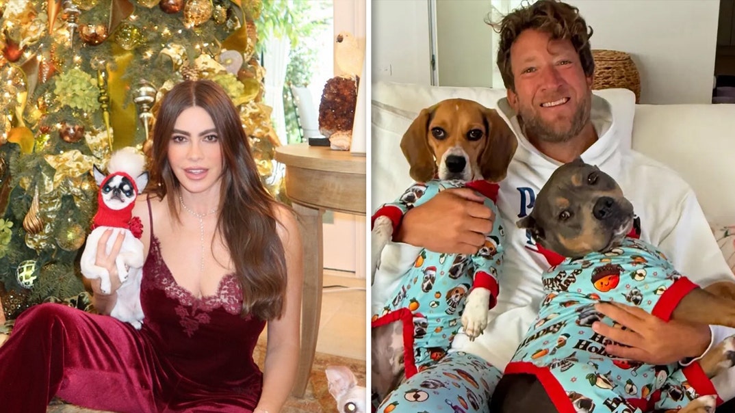 christmas-pets-gallery-launch-ig-1