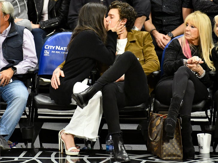 Camila Cabello and Shawn Mendes -- Kissing Courtside At Clippers Game