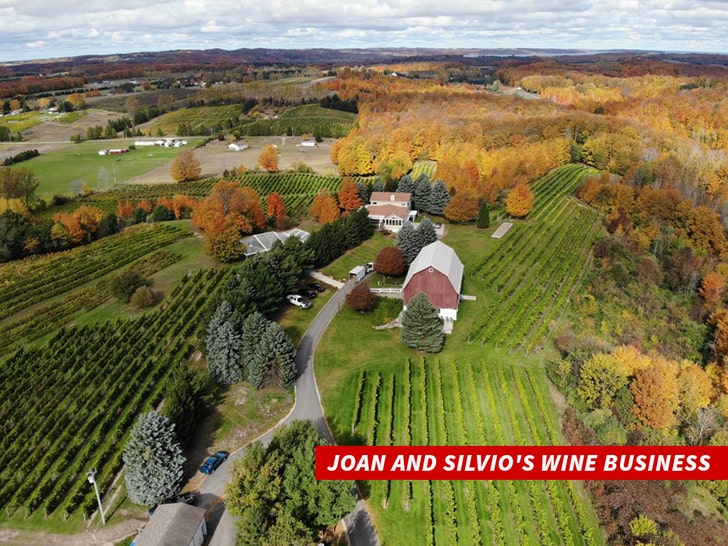 Joan and Silvio's wine business