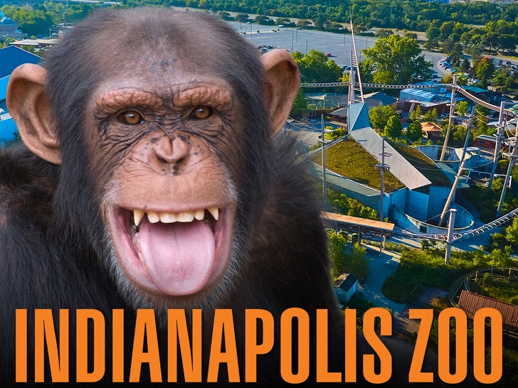 indianapolis zoo getty 2