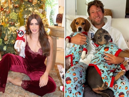 christmas-pets-gallery-launch-ig-1