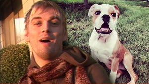 Aaron Carter Files for Bankruptcy ... Even My Dog's Worthless