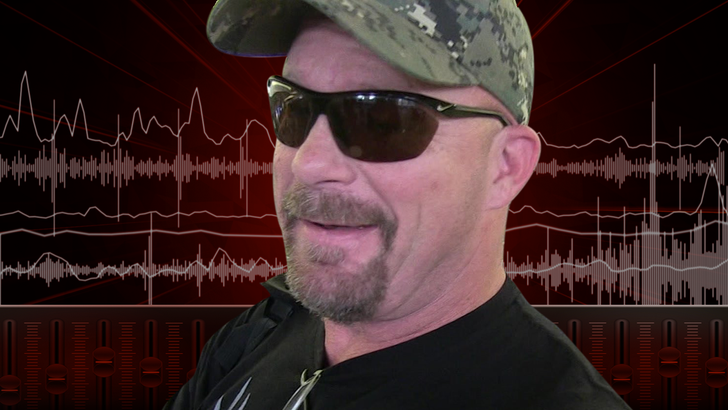 Steve Austin Audio