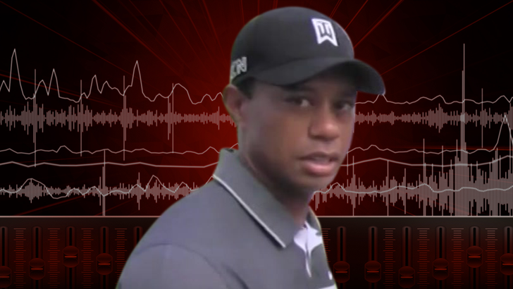 0223-tiger-woods-audio-02