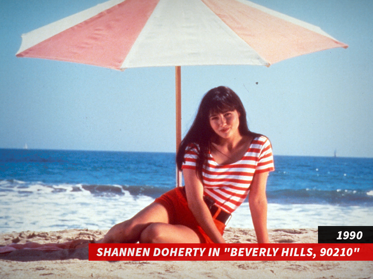 শ্যানেন ডোহার্টি "বেভারলি হিলস, 90210"