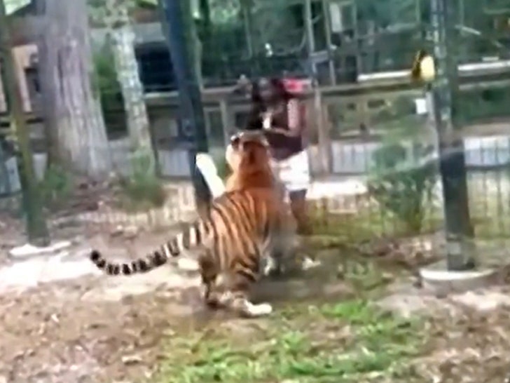 Woman Charged With Climbing Over Zoo Fence To Pet Tiger In Viral Video