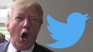 President Trump's Twitter Account Permanently Suspended