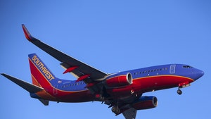 Dog Dies on Southwest Flight, Family Blaming Airline