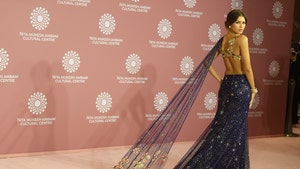 Zendaya Walks Red Carpet for India Gala Solo, Tom Holland Keeps Distance