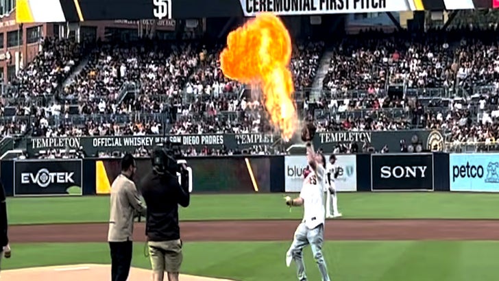 MLB Star Zac Gallen Kills Bird With Warm-Up Pitch, Shades Of Randy Johnson