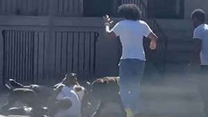 Un policía le dispara a una jauría de perros que ataca a un hombre