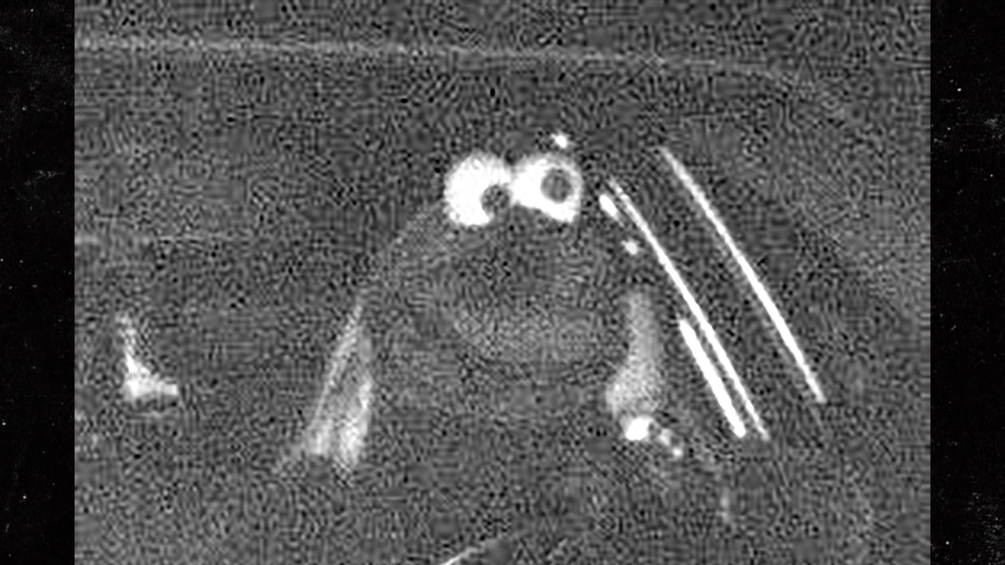 Driver Dressed Like Cookie Monster Seen Speeding on Camera in Germany