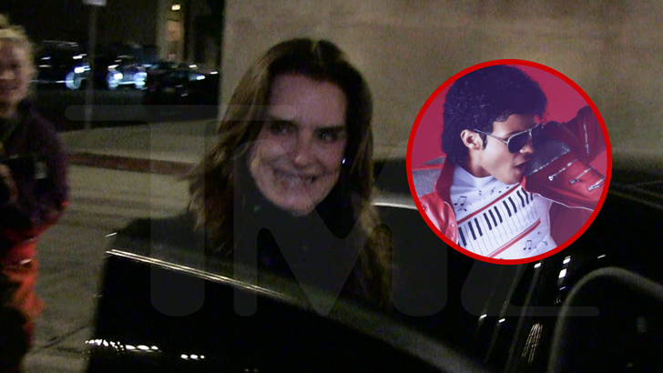 042826 brooke shields kal