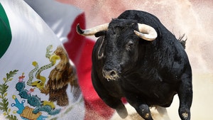 mexican bullriding injuries getty 1