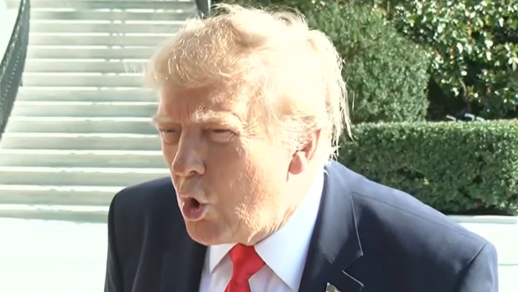 102226 donald trump kal
