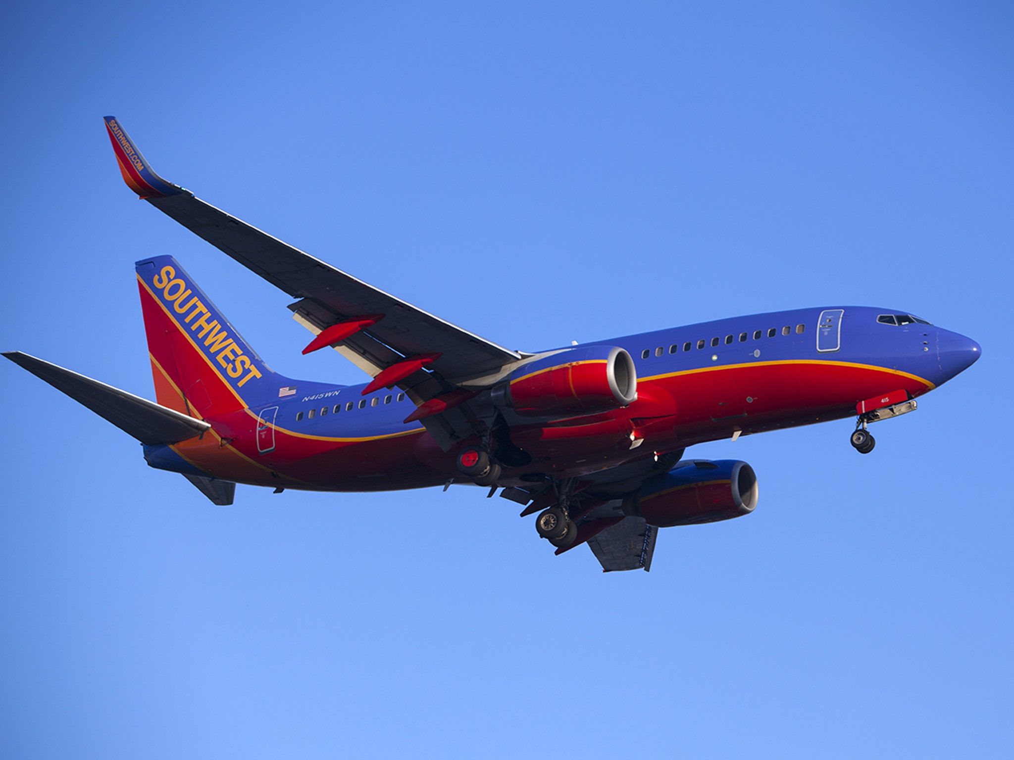 can dogs fly on southwest airlines