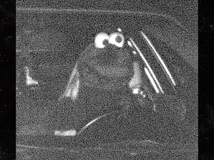 Driver Dressed Like Cookie Monster Seen Speeding on Camera in Germany