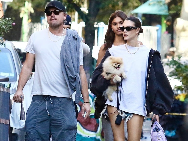 Leonardo DiCaprio and Vittoria Ceretti Stroll Through NYC With New Puppy