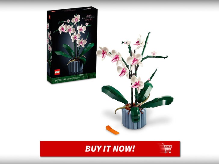 LEGO-Botanicals-Orchid-MAIN