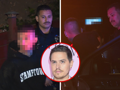 041726-dylan-sprouse-home-invasion-suspect-primary v3