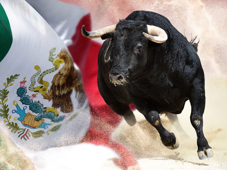mexican bullriding injuries getty 1
