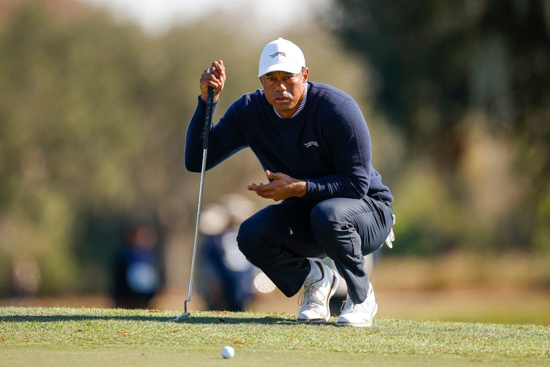 Tiger Woods Swingin Shots 3