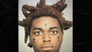 Kodak Black Arrested on 7 Charges in Florida Including Grand Theft of Firearm