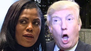 Omarosa Blasts President Trump and His Staff on 'Celebrity Big Brother'