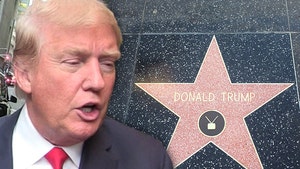 Fake Donald Trump Stars Popping Up All Over Hollywood Blvd.