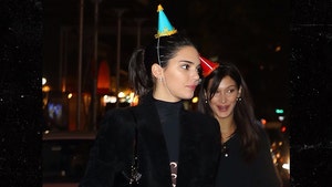 Kendall Jenner Rocks Out with Friends Celebrating Her 23rd Birthday