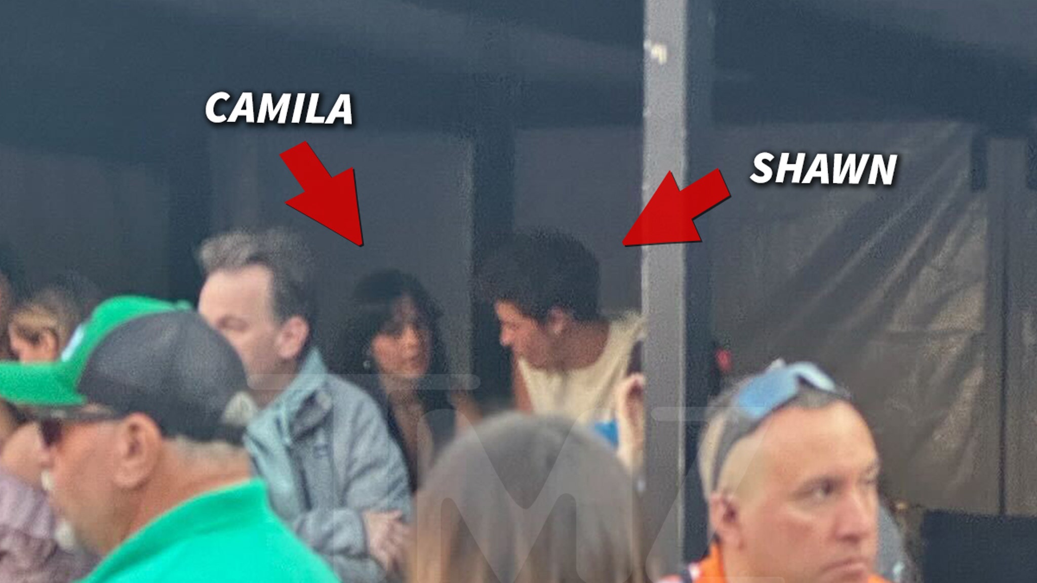 Shawn Mendes und Camila Cabello gehen zusammen zu Taylor Swifts Party