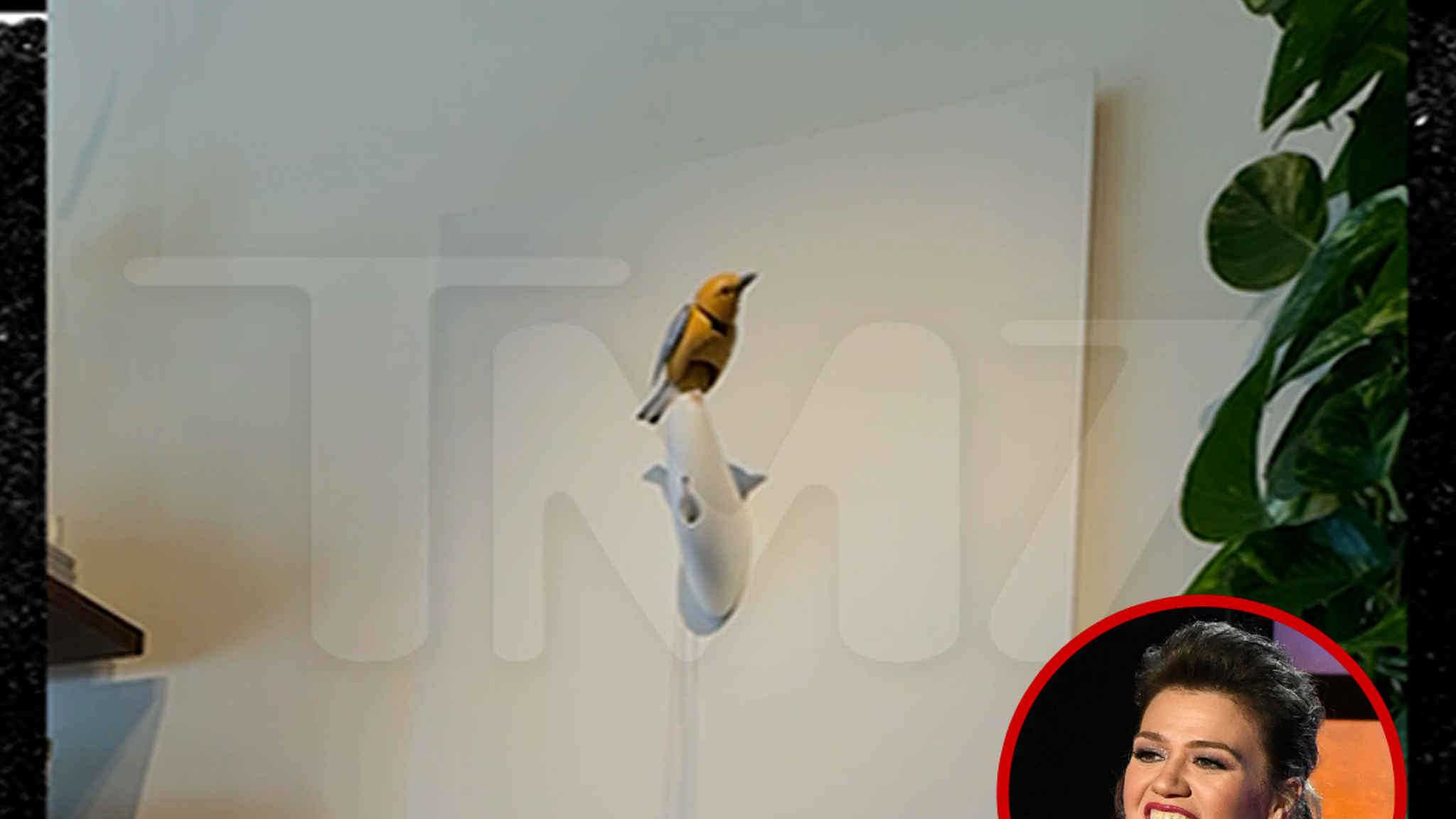 Kelly Clarkson Store Feud: Art of Play Singing Bird Now on Sale for $15M