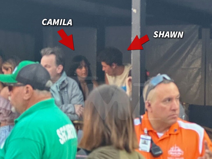 Entertainment camila cabello and shawn mendes