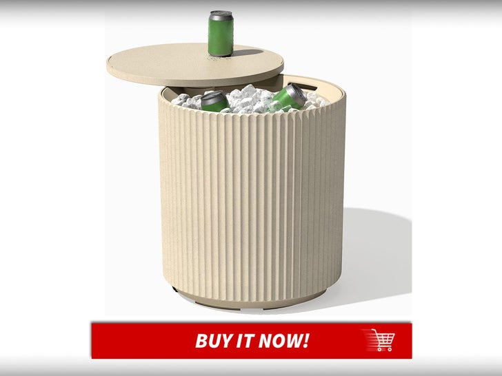 Veradek-Cooler-Side-Table-Celeb-Home-Finds-MAIN