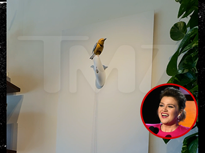 101426_art_of_play_bird_molly_primary