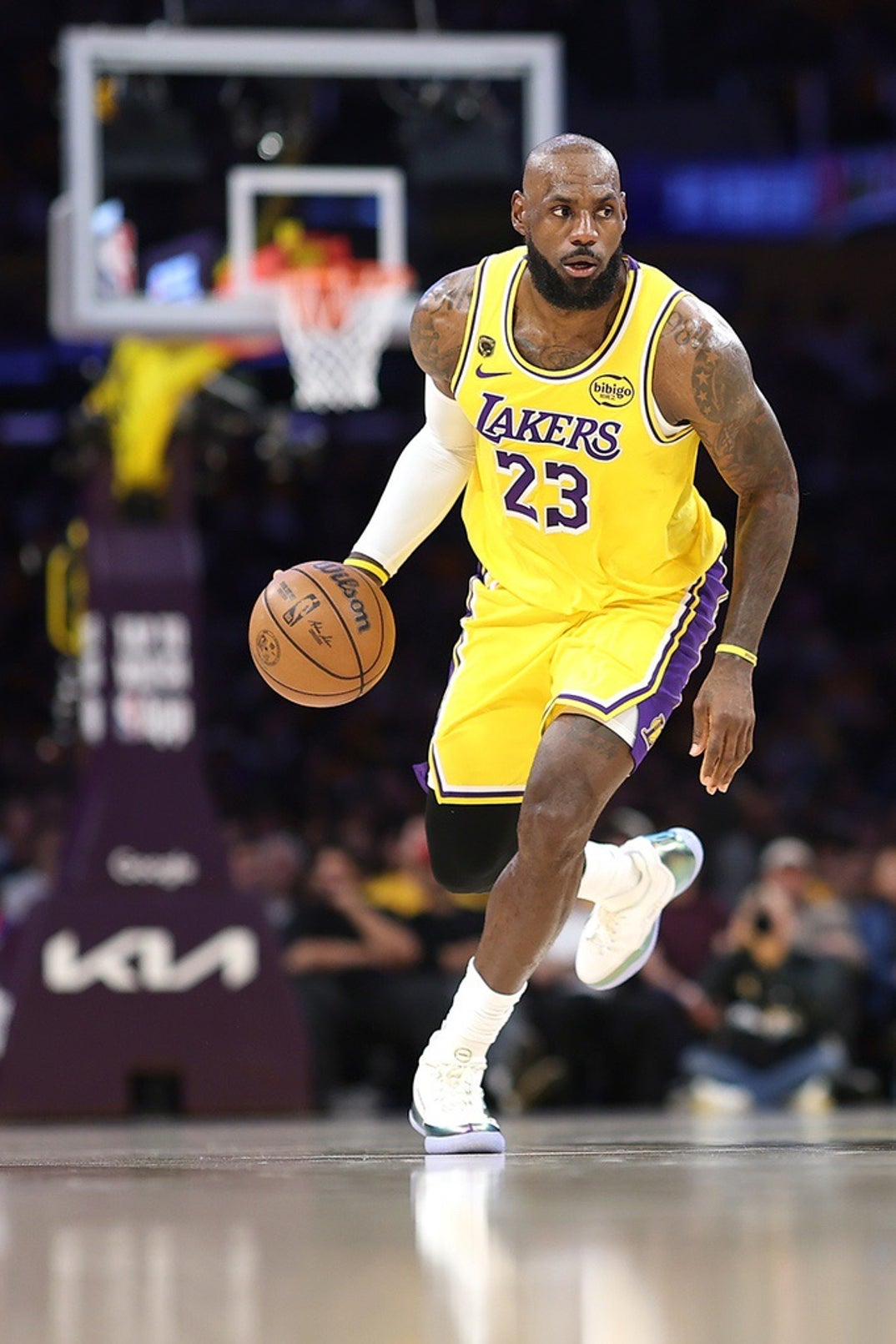 LeBron James On The Lakers 2