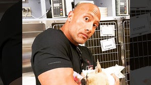 The Rock -- The Puppy I Saved Died ... Victim of Toxic Mushroom (PHOTO)