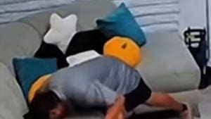 112025_couch_sniffer_primary