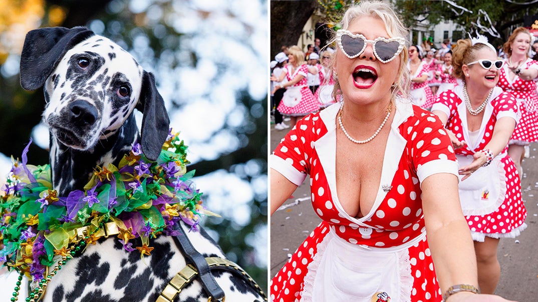 0216-Mardi-gras-2026-PRIMARY