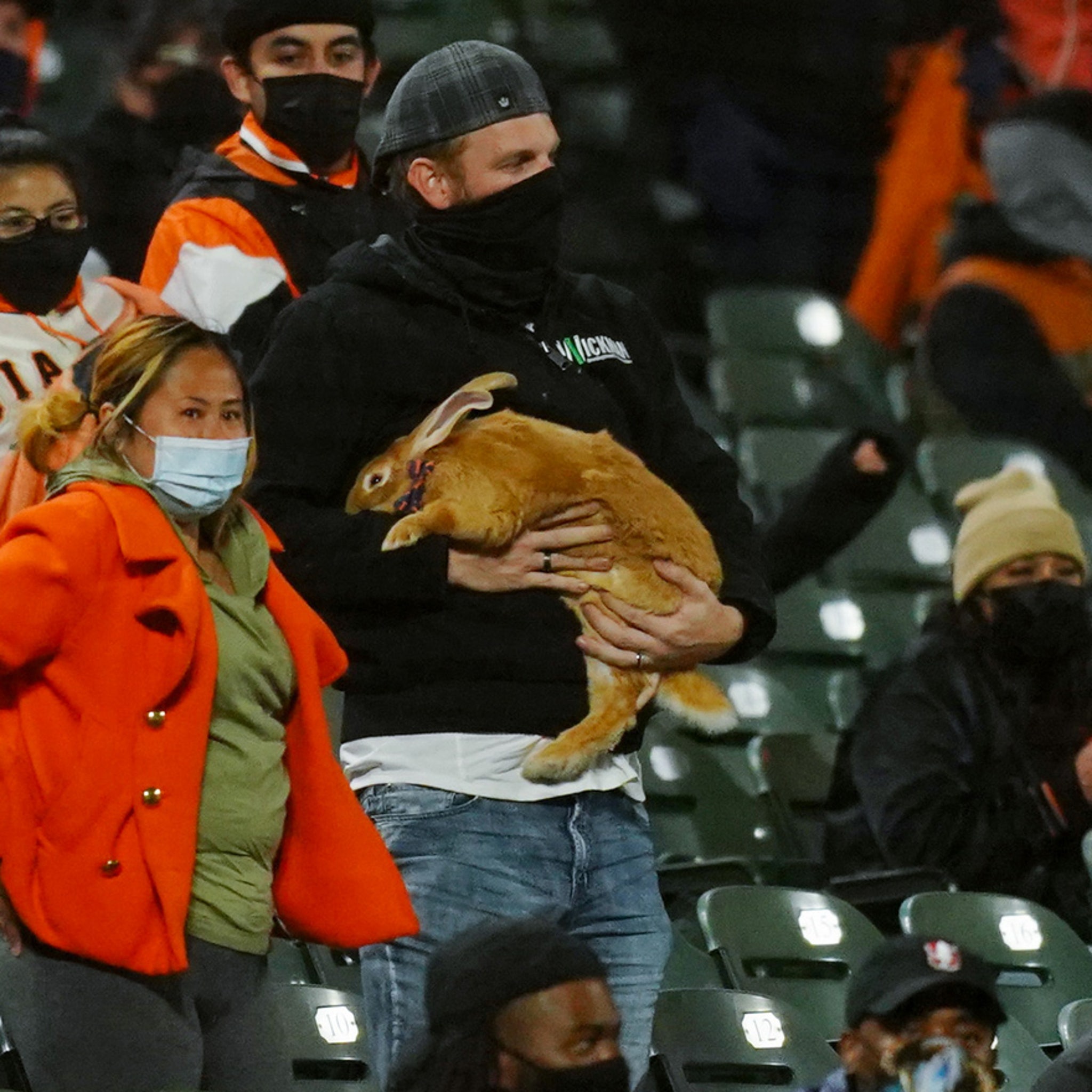 San Francisco Giants Fans for Peanut-Free Baseball