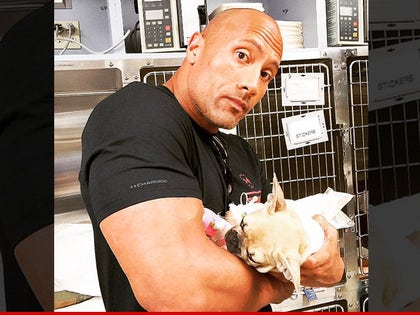 0929-the-rock-dog-dies-INSTAGRAM-01