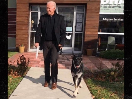 1107 joe biden dog instagram 01