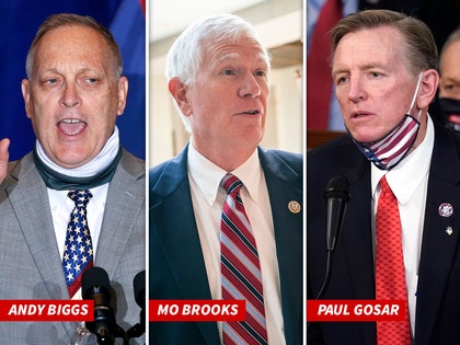 1114-mo brooks andy biggs Paul Gosar shutterstock