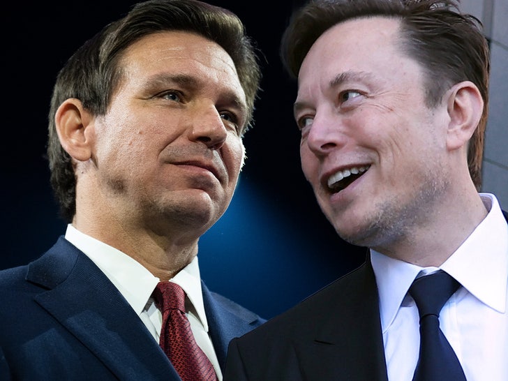 ron desantis elon musk