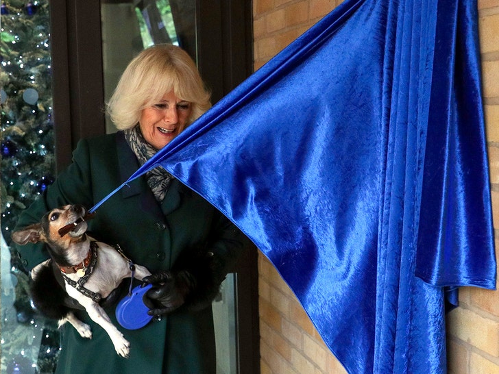 queen camilla and dog getty 1