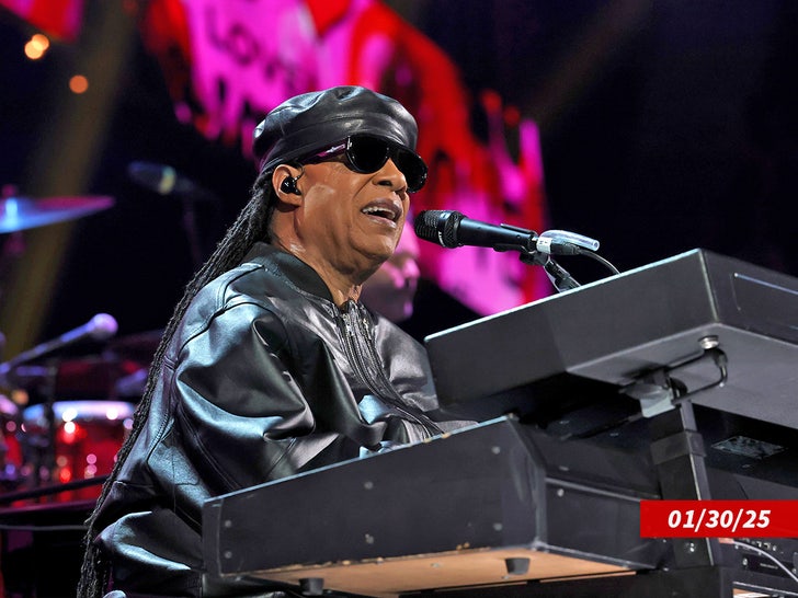 stevie wonder sub getty swipe