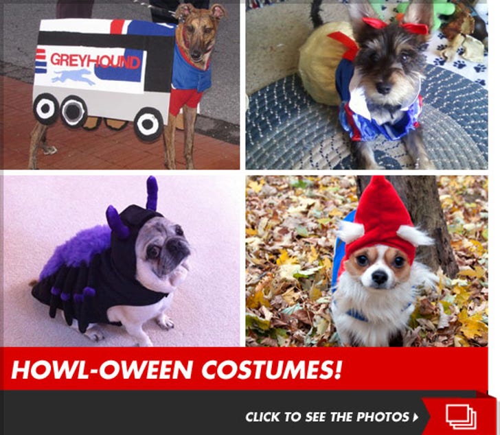 TMZ's Annual Doggie Costume Contest!!