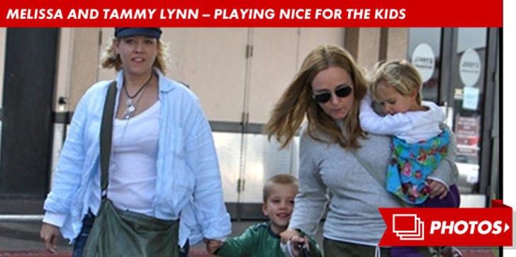 Melissa Etheridge & Ex -- Play Nice for The Kids
