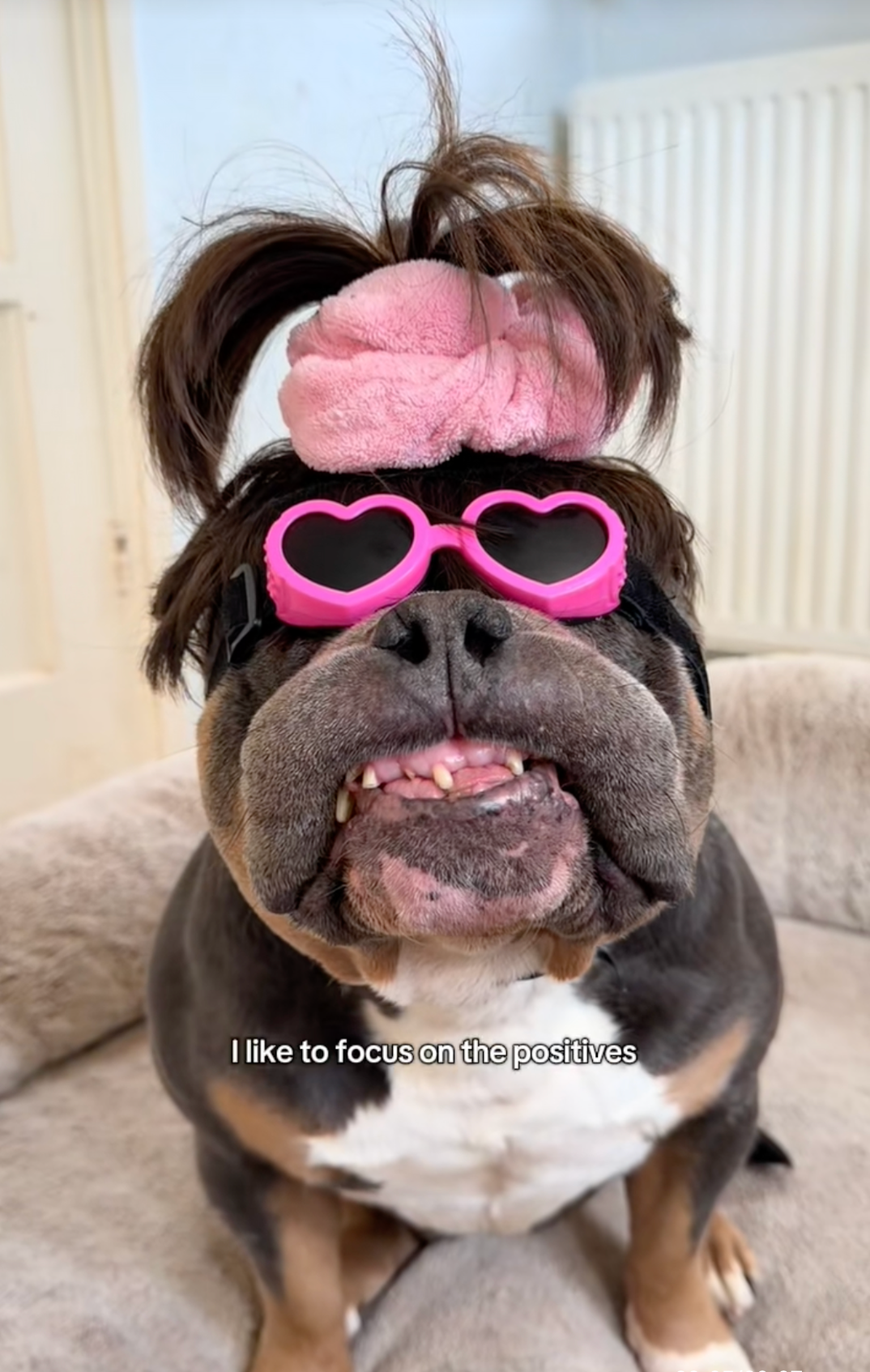 Screenshot 2025-12-25 at 5.39.53 AM