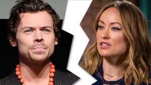 Harry Styles and Olivia Wilde Taking Break From Dating